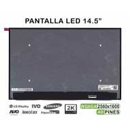 PANTALLA LED DE 14.5" PARA PORTÁTIL N145GCG-GT1 LP145WQ1-SPB1 QHD 40 PINES