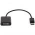 Cable Conversor HP FH973AA/ DisplayPort Macho - DVI-D Hembra/ 19cm/ Negro